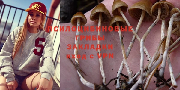 дмт Осинники